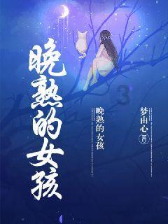 美妙圣诞节拼图